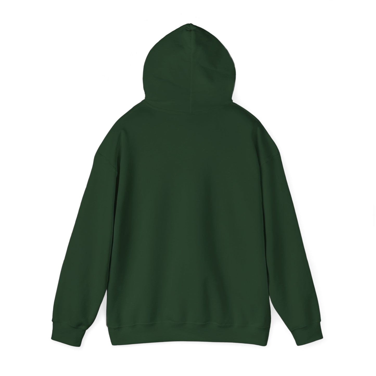 Sloth Hoodie, "Sorry I'm Late.." Sweatshirt, Barnyard Collection, Cozy Pullover, Funny Graphic Jumper, Winter Wear