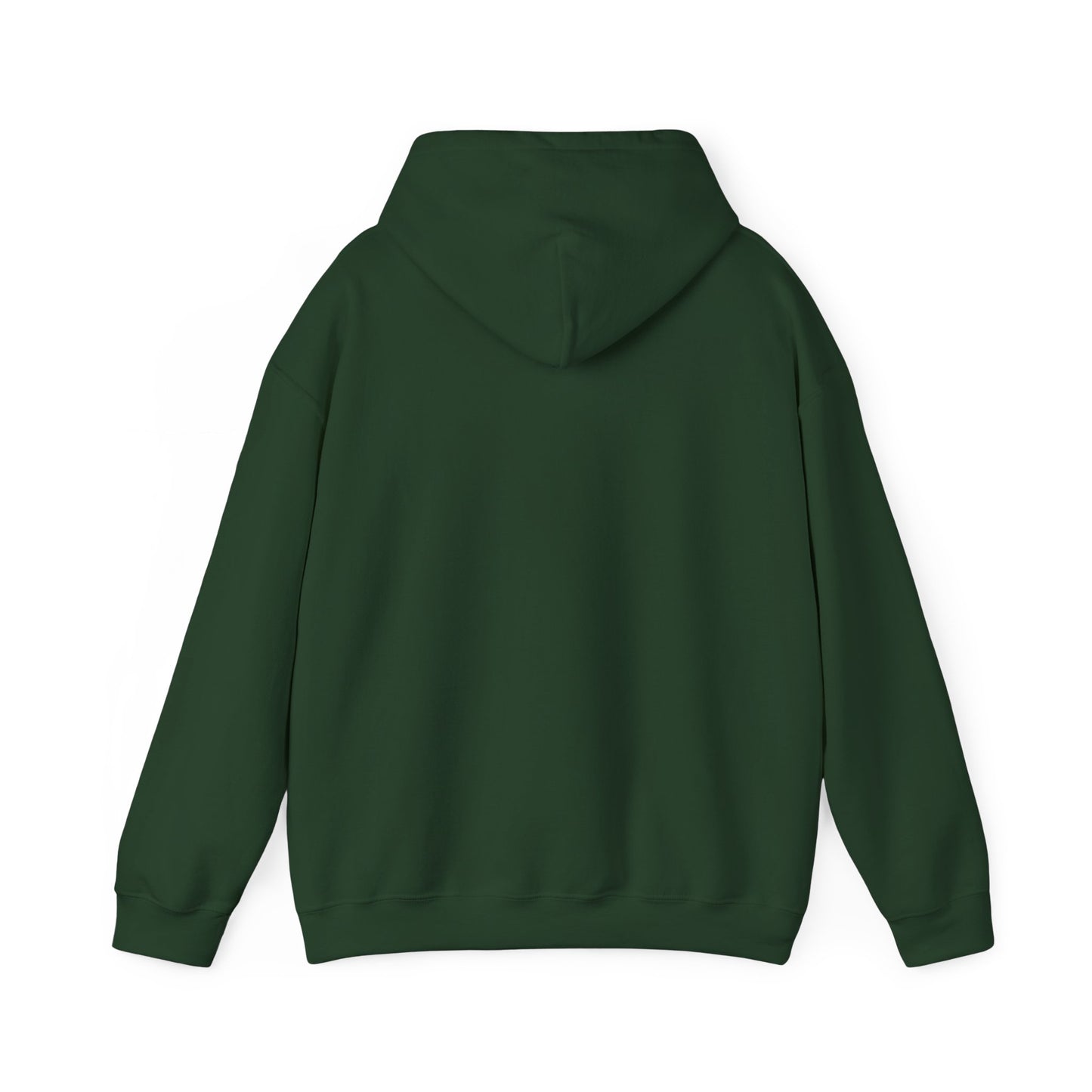 Sloth Hoodie, "Sorry I'm Late.." Sweatshirt, Barnyard Collection, Cozy Pullover, Funny Graphic Jumper, Winter Wear